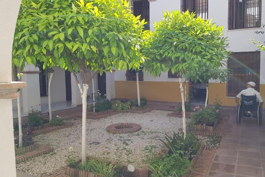 Precioso Apartamento Junto A Plaza La Corredera Cordoue Extérieur photo